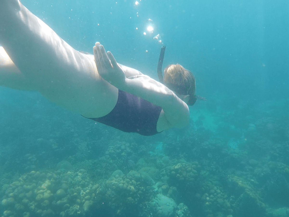 Last Night + Island Exploring + Snorkeling + Return to Cartegena 